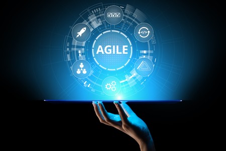 Agility at Scale: Making It Workin Large Organizations